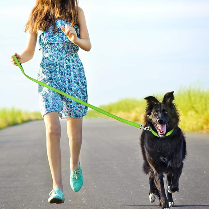 FunTags 4FT Green Reflective Dog Leash for Large & Medium Dogs Training, Soft Padded Handle Comfortable Grip, Heavy Duty Nylon, Reflective for Night Walking, 1in Wide