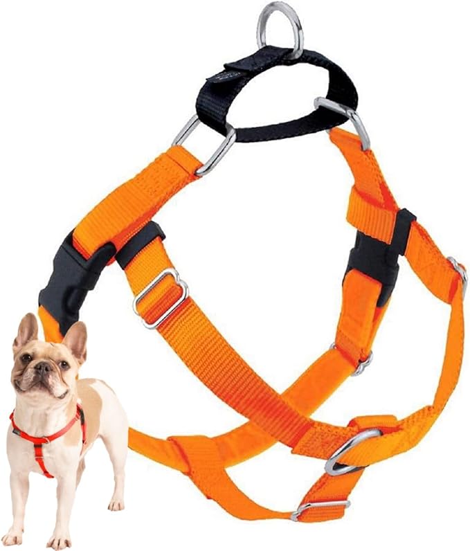 2 Hounds Design Freedom No Pull Dog Harness, Adjustable Harness, Easy Walking & Comfortable Control, Fits Small, Medium & Large Dogs, Solid Colors, Made in USA, 1" XXL, Neon Orange
