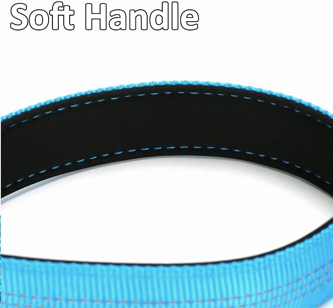 2FT Bungee Dog Leash, Highly Reflective Strong Nylon Traffic Leash, Shock Absorbing Short Pet Lead for Large Medium Dogs Walking Training Controlling, Blue