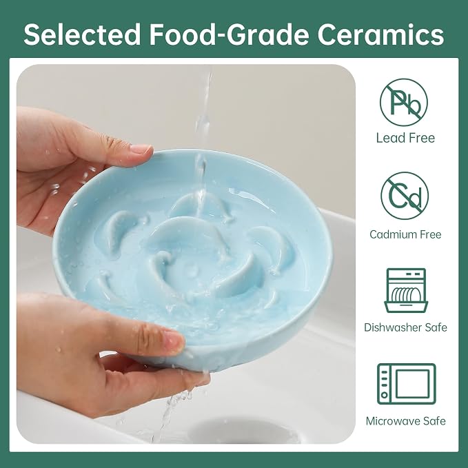 Cat Slow Feeder Bowl Set - 2 Pcs Ceramic Cat Food Plates for Slow Eating - Double Cat Dish for Dry Wet Food - Slow Feeding Cat Bowls Whisker Friendly - Microwave and Dishwasher Safe - Blue and Green