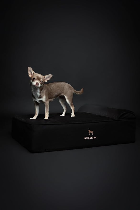 NOAH & PAW Dog Bed, 28x23x7.5 Inch, Orthopedic Dog Beds for Medium Size Pets, Eggshell Memory Foam Infused with Cooling Gel, Water Resistant, Machine Washable, Includes Inner Cover (Denim Collection)