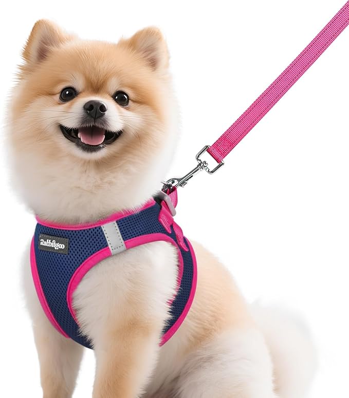 rabbitgoo Dog Harness Small Sized and Leash Set, Step-in Breathable Pet Harness, Soft Walking Reflective Puppy Vest for Small Dogs, Blue & Rose Red, M