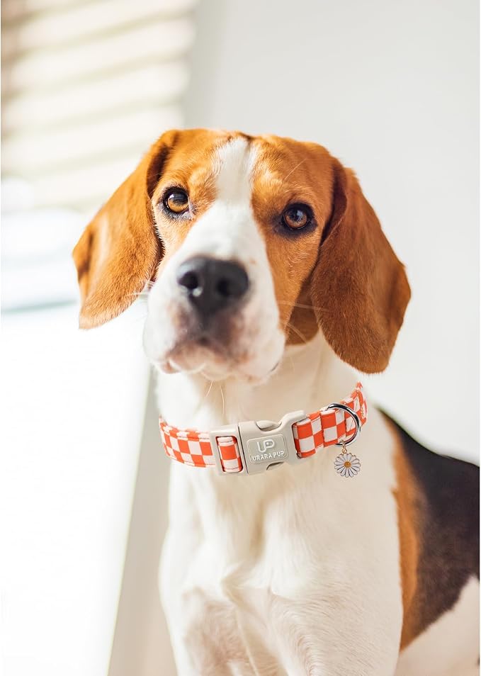 Gingham Fall Dog Collar – Adjustable Orange Picnic Checkered Dog Collar with Daisy Pendant, Classic Autumn Dogs Collars for Girl Boy Dogs