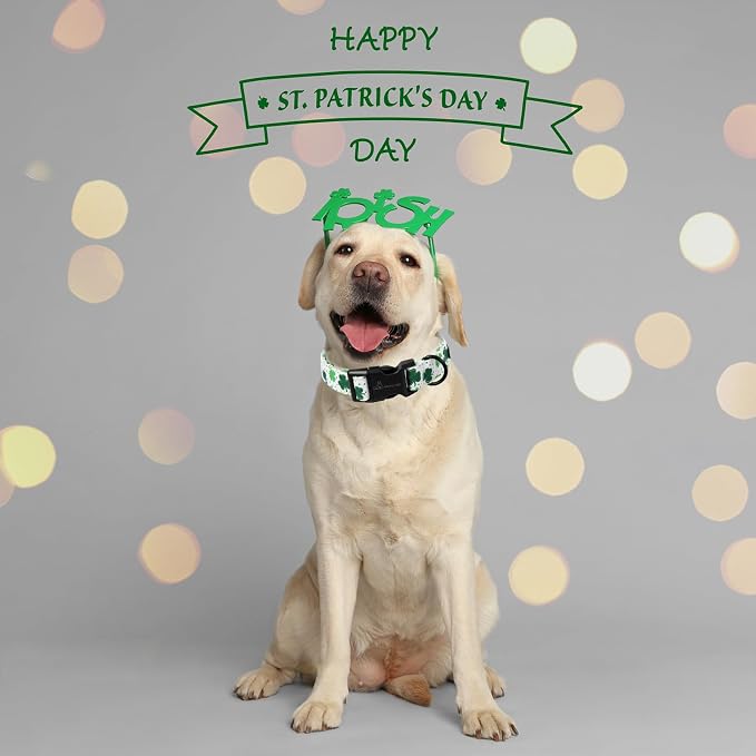 ARING PET St Patrick's Day Dog Collar, Cute White Clovers Pet Collars with Quick Release Buckle for Puppy Small Medium Large Boy Girl Dogs-M