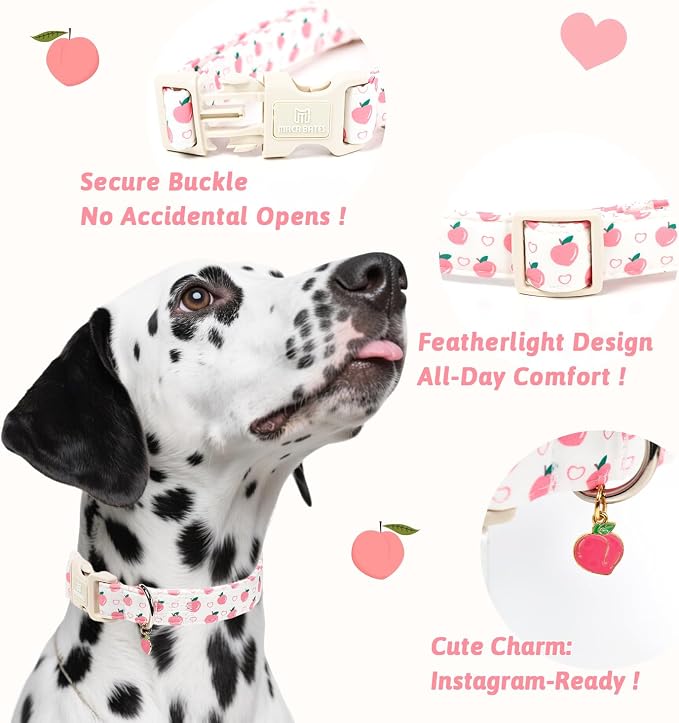 Maca Bates Basic Dog Collar with Peach Charm for Extra Small Girl Boy Dogs,Pink Cute Peaches Hearts Pattern,Pretty Adjustable Durable Collars,Gift for Male Female Puppy