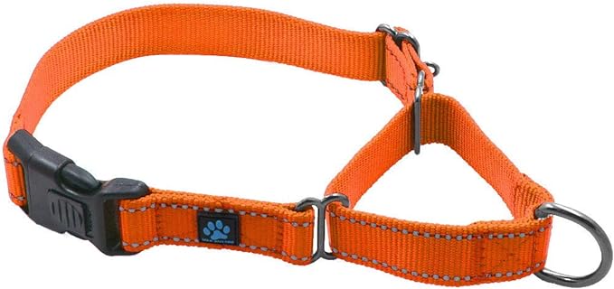 Max and Neo Nylon Martingale Collar - We Donate to a Dog Rescue for Every Collar Sold (Small, Orange)