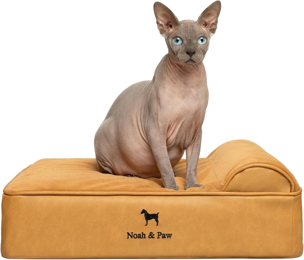 NOAH & PAW Small Dog Bed, 20x15x6.5 Inch, Cat Bed for Indoor Cats, Orthopedic Eggshell Memory Foam Infused with Cooling Gel, Water Resistant, Machine Washable, Includes Inner Cover (Faux Leather)