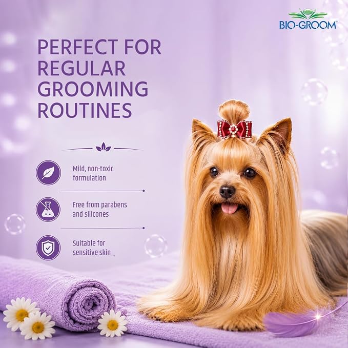 Bio-Groom Silk Creme Rinse Dog Conditioner - Conditioner for Dogs & Puppies, Residue Free Wash, Cruelty Free, Rehydrates Skin & Strengthens Coats, Gentle & Safe - 12 Fl Oz 1-Pack