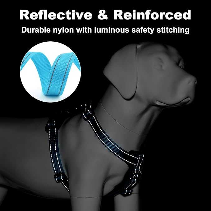 Plutus Pet Adjustable No Pull Dog Harness with Leather Accents, Heavy Duty Reflective Nylon Vest for Training, Hiking, Easy Walk Harness for Small, Medium, Large Dogs (Light Blue, L)