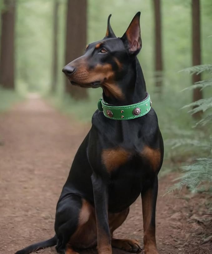 Genuine Leather Dog Collar for Large Dogs,2 in Wide Heavy Duty,GN-S | Handmade,Stainless Steel Pin Buckle,Soft Padded,Alloy Studded,Luxury Eye-catching Design,Medium Large Giant Breeds,15-19 in