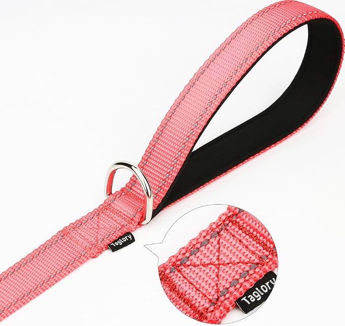 Taglory Dog Leash for Small Dogs, Double-Sided Reflective for Night Walking, Neoprene Padded Handle, 3/4 inch by 4 ft, Lightweight for Small Medium Breeds up to 30 lbs, Pink