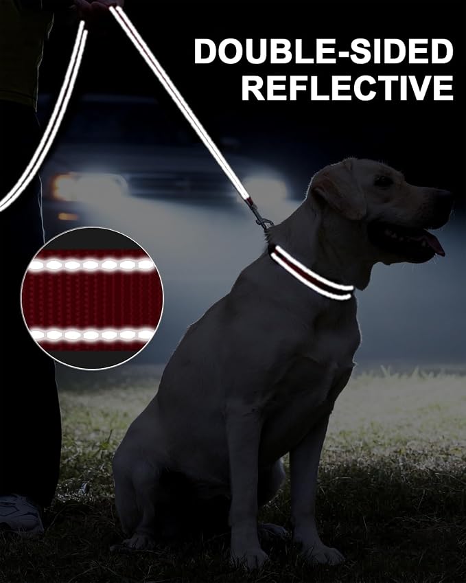 Taglory Dog Leash for Medium Large Dogs, Double-Sided Reflective for Night Walking, Neoprene Padded Handle, 1 inch by 4 ft, Heavy Duty for Medium Large Breeds 20-150 lbs, Red