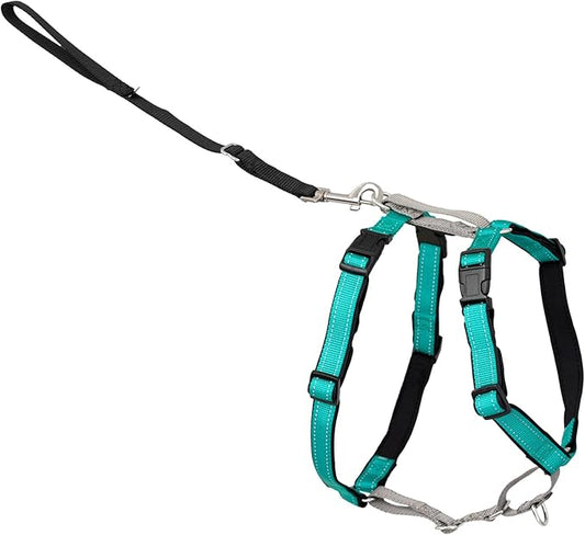 PetSafe 3 in 1 No-Pull Dog Harness for Medium Dogs - Walk, Train or Travel - Helps Pets from Pulling on Walks - Seatbelt Loop Doubles as Quick Access Handle - Reflective - Medium, Teal