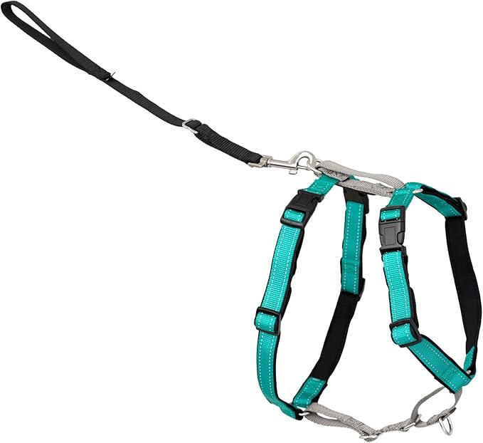 PetSafe 3 in 1 No-Pull Dog Harness for Small Dogs- Walk, Train or Travel - Helps Pets from Pulling on Walks - Seatbelt Loop Doubles as Quick Access Handle - Reflective- Extra Small, Teal