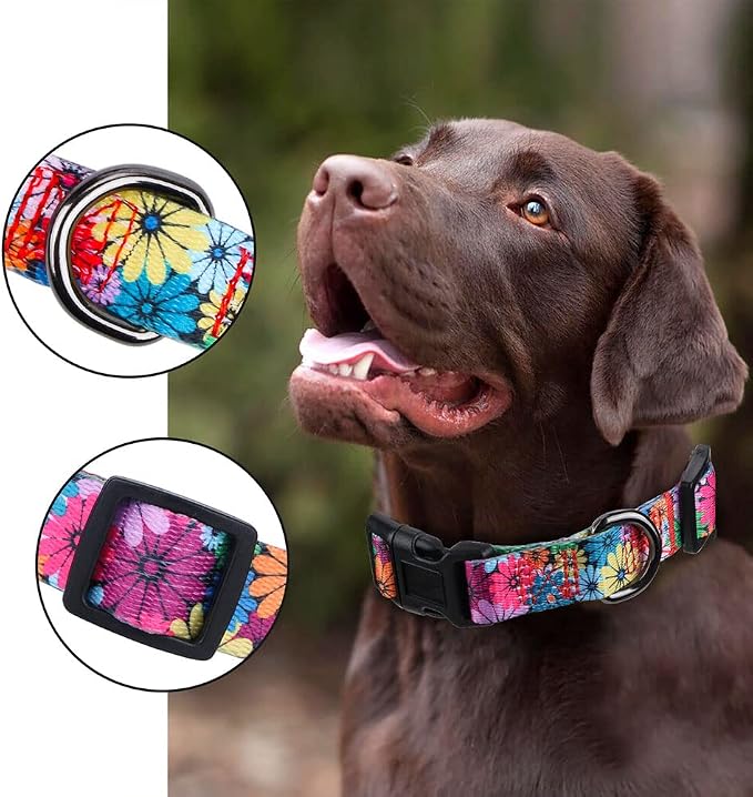 Dog Collar for Small-Medium-Large Dogs Floral Pattern for Girl boy Dogs Medium (M(Neck 13.1''-19'', Width 3/4''))