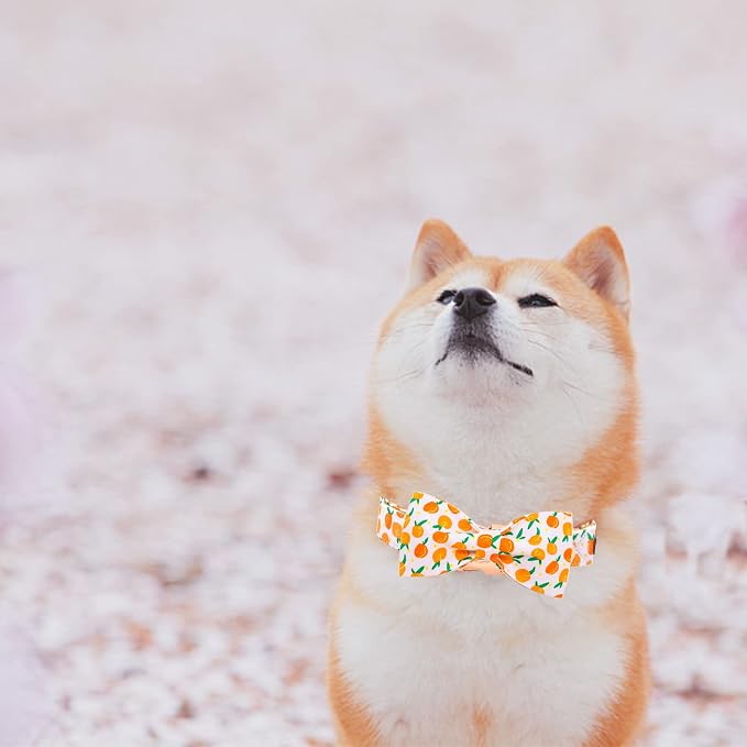 Elegant little tail Dog Collar, Peach Pattern Pet Collars with Bow Girl Cotton Bowtie Collars Spring Puppy Gift Adjustable Pet Collar for Large Dogs
