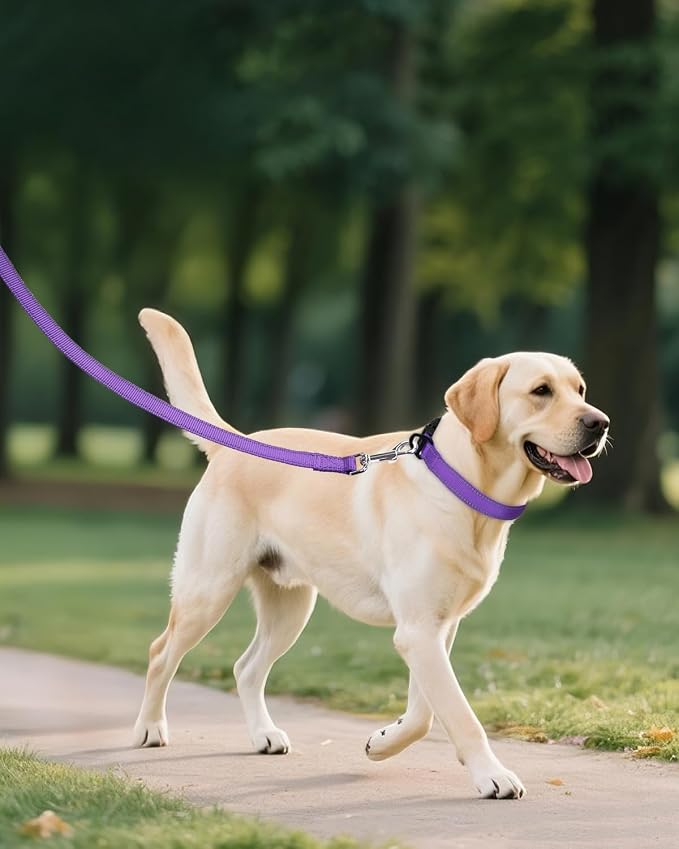 Joytale Extra Large Dog Collar, Wide Double-Sided Reflective Nylon Collar for Night Safety, Adjustable Quick-Release for Gentle Giants, Purple, XL (1 1/4" Width)
