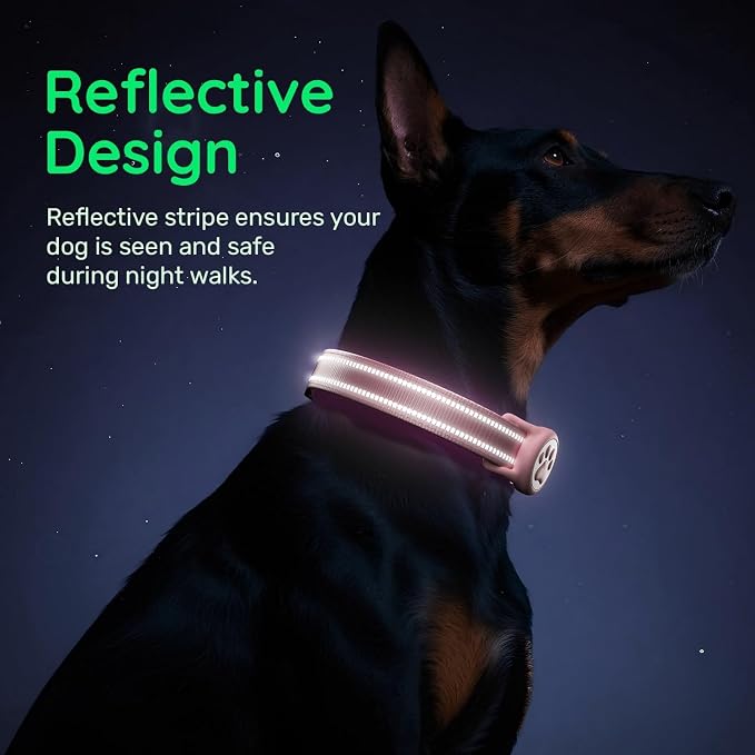 Airtag Dog Collar, Reflective Ultra-Durable Nylon Padded with QR Buckle & IP68 Waterproof Air Tag Holder Compatible for Apple AirTag, Comfortable for Small Medium Large Dogs (Pink,XL)