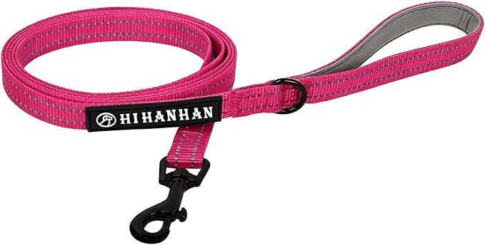 Reflective 6 FT Dog Leash, Premium Traditional Style Puppy Leash with Easy to Use Collar Hook for Small, Medium, and Large Breed Puppies (Rose Red, 3/4 in x 6 ft)