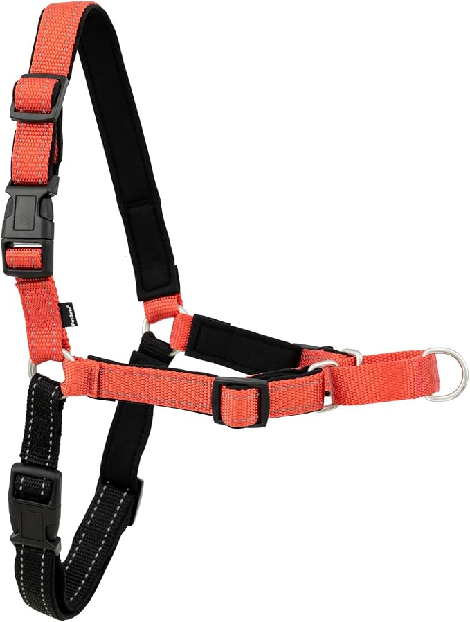 PetSafe Easy Walk Deluxe Dog Harness, No Pull Dog Harness Perfect for Leash & Harness Training Stops Pets from Pulling and Choking on Walks Large, Rose