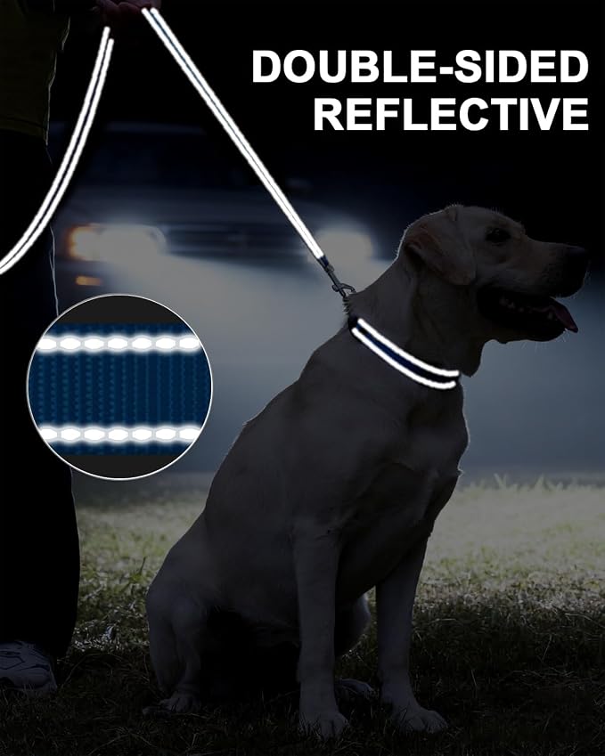 Taglory Dog Leash for Small Dogs, Double-Sided Reflective for Night Walking, Neoprene Padded Handle, 3/4 inch by 4 ft, Lightweight for Small Medium Breeds up to 30 lbs, Sky Blue