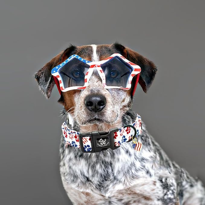 Elegant little tail Independence Dog Collar, 4th of July Holiday Pet Collars Cotton Patriotic Puppy Girl or Boy Soft Pet Gift Adjustable Dog Collar for Small Medium Large Dogs