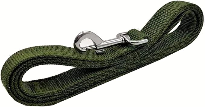 TAIAN 4FT/5FT/6FT Strong Dog Leash, Nylon Dog Leashes for Small Medium Large Dogs (Green, 1 in x 10 ft)