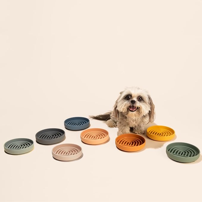 Should We Go? Slow Feeder Dog Bowls - Small Size Silicone Slow Eating Dog Bowl for Puppies & Dogs with Suction Cup -Dishwasher-Safe, Lick Mat Design, Reduces Gulping, for All Breeds, 6”x1.25”- Ocean