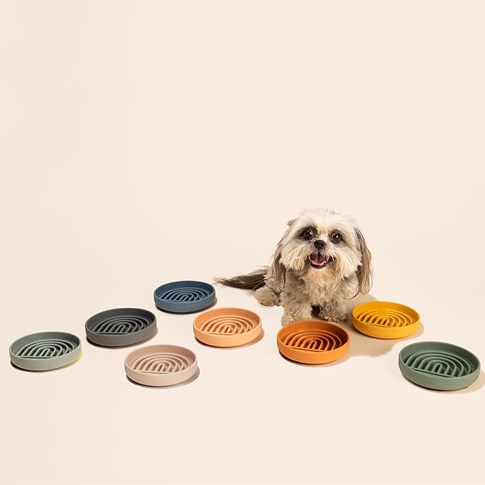 Should We Go? Slow Feeder Dog Bowls - Small Size Silicone Slow Eating Dog Bowl for Puppies & Dogs with Suction Cup -Dishwasher-Safe, Lick Mat Design, Reduces Gulping, for All Breeds, 6”x1.25”- Sage