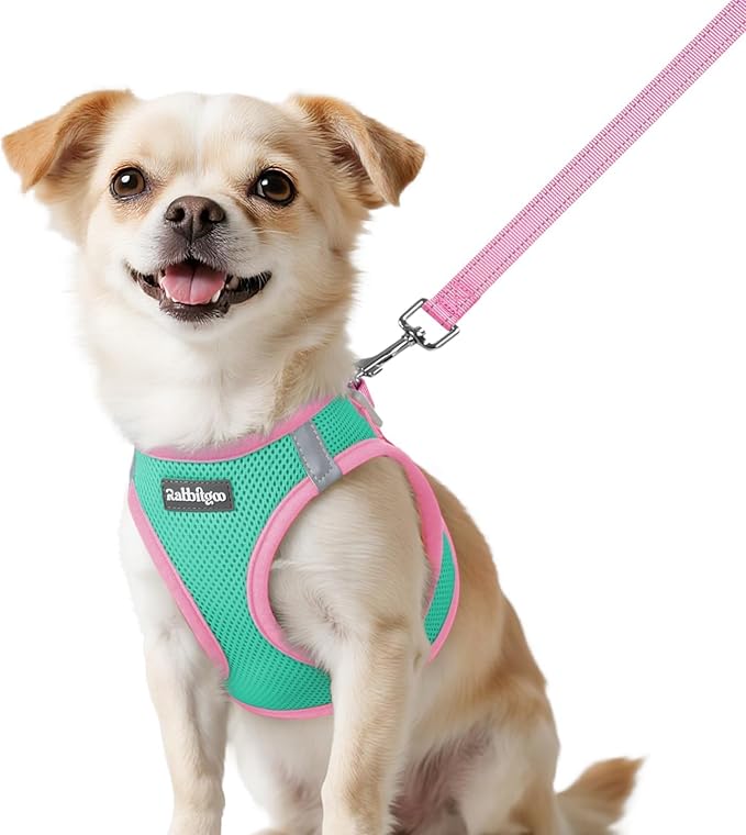 rabbitgoo Dog Harness Small Sized and Leash Set, Step-in Breathable Pet Harness, Soft Walking Reflective Puppy Vest for Small Dogs, Teal & Pink, XXS