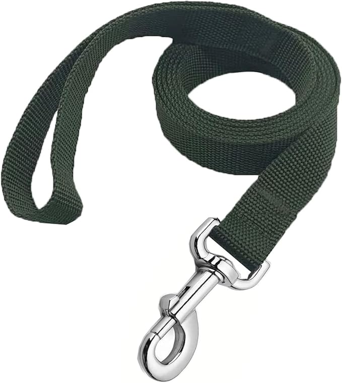 Strong Nylon Dog Leash, 4FT/ 5 FT/ 6FT Dog Leashes for Small Medium Dogs