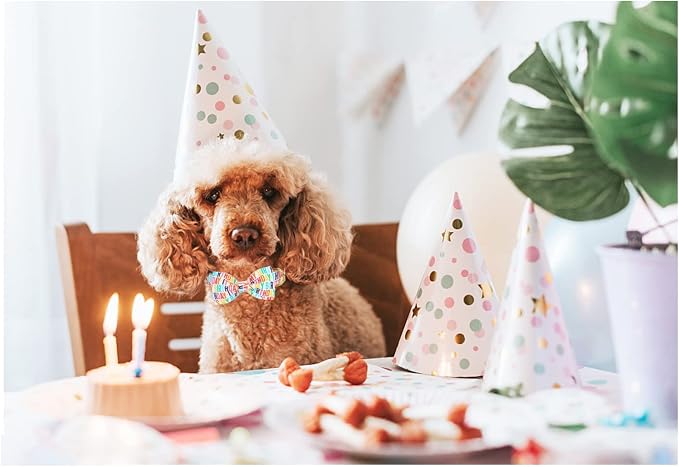 Unqiue Style Paws Birthday Dog Collar, Soft and Cute Dog Bow Tie, Durable Pet Collar with Bow Adjustable Bow Dog Collar for Small Dogs