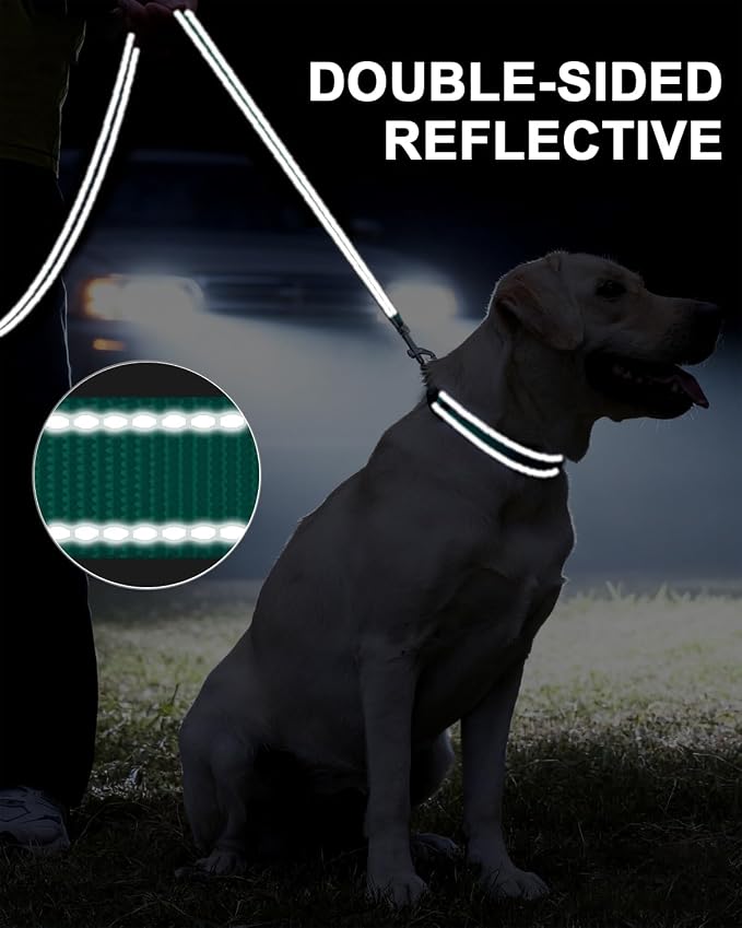 Taglory Dog Leash for Small Dogs, Double-Sided Reflective for Night Walking, Neoprene Padded Handle, 3/4 inch by 6 ft, Lightweight for Small Medium Breeds up to 30 lbs, Turquoise