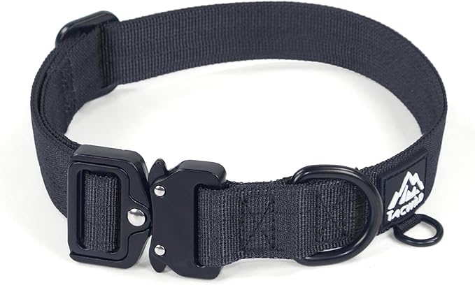 Dog Collar for Large Dogs - Adjustable, Chew Proof Nylon Collar with Metal Quick Release Buckle and D-Ring for Dog Tags (New York Afterlight, L(1''Width, Fit 14''-20''))