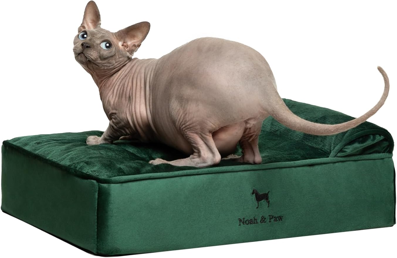 NOAH & PAW Small Dog Bed, 20x15x6.5 Inch, Cat Bed for Indoor Cats, Orthopedic Eggshell Memory Foam Infused with Cooling Gel, Water Resistant, Machine Washable, Includes Inner Cover (Velvet Collection)
