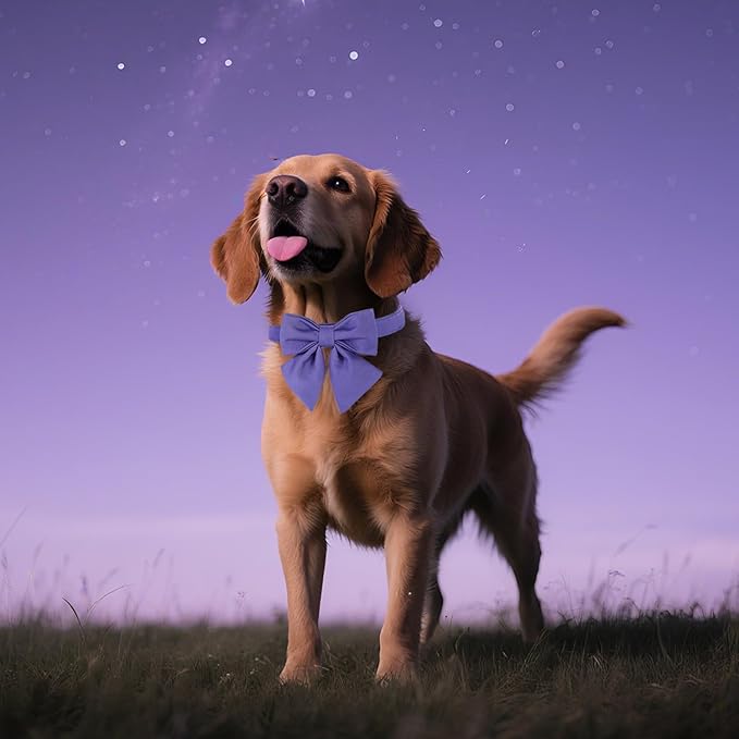 Maca Bates Purple Dog Collar with Cute Petunia Solid Sailor Bow Tie,Large Girl Boy Dogs,Girly Adjustbale Durable Breakaway Soft Collars with Bowtie for Female Male Puppy,Pet with Metal Buckle