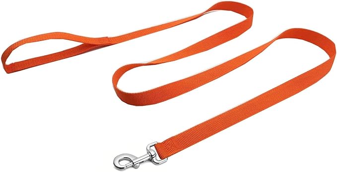 Strong Nylon Dog Leash, 4FT/ 5 FT/ 6FT Dog Leashes for Medium Large Dogs (4FT, Orange)