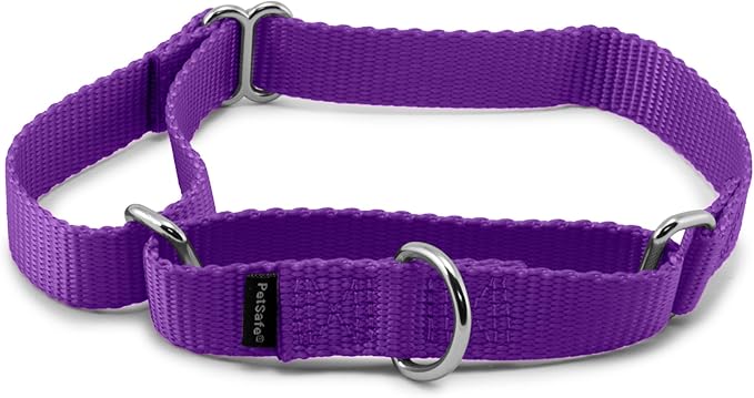 PetSafe Martingale Dog Collar Medium, 3/4 Inch, Deep Purple