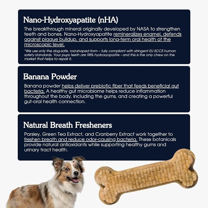 Arterra Pet Science Dog Dental Chews with Nano-Hydroxyapatite Next-Generation Daily Chews for Stronger Teeth, Fresh Breath (Small Dog, 14 Count (Pack of 1))