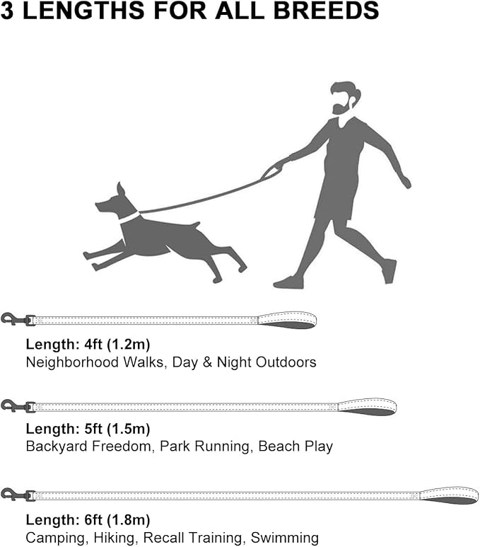 Taglory Dog Leash for Medium Large Dogs, Double-Sided Reflective for Night Walking, Neoprene Padded Handle, 1 inch by 6 ft, Heavy Duty for Medium Large Breeds 20-150 lbs, Grey