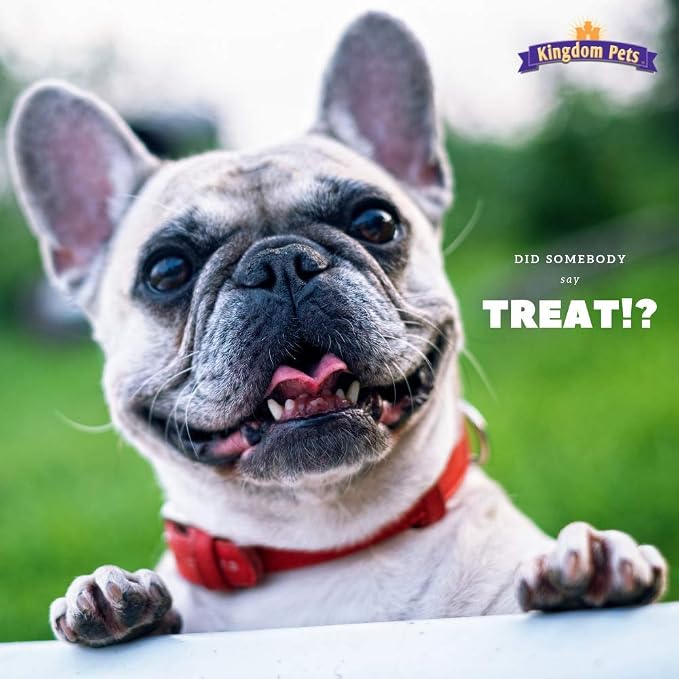 Duck Jerky Dog Treats with Only 3 Ingredients and No Fillers, 2.5 Pound Bag