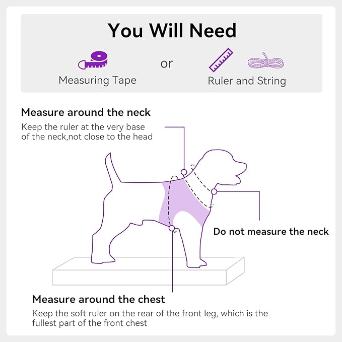 Joytale Small Dog Harness, Breathable Mesh Step-in Vest, Reflective Soft Padded Harnesses Small Sized Dog for Walking, Purple, S