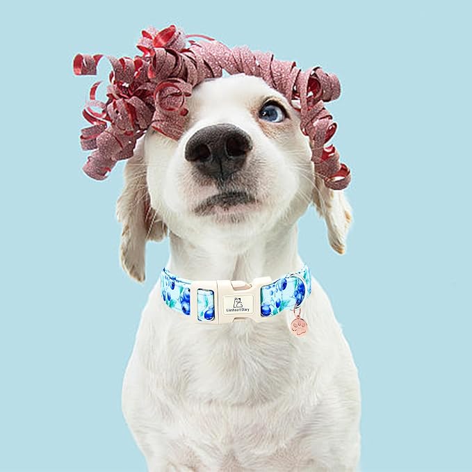 Lionheart glory Dog Collar Blueberries Print Collar for Small Dogs Spring Summer Female or Male Collars Pets Gift Adjustable Heavy-Duty Cute Pet Collars