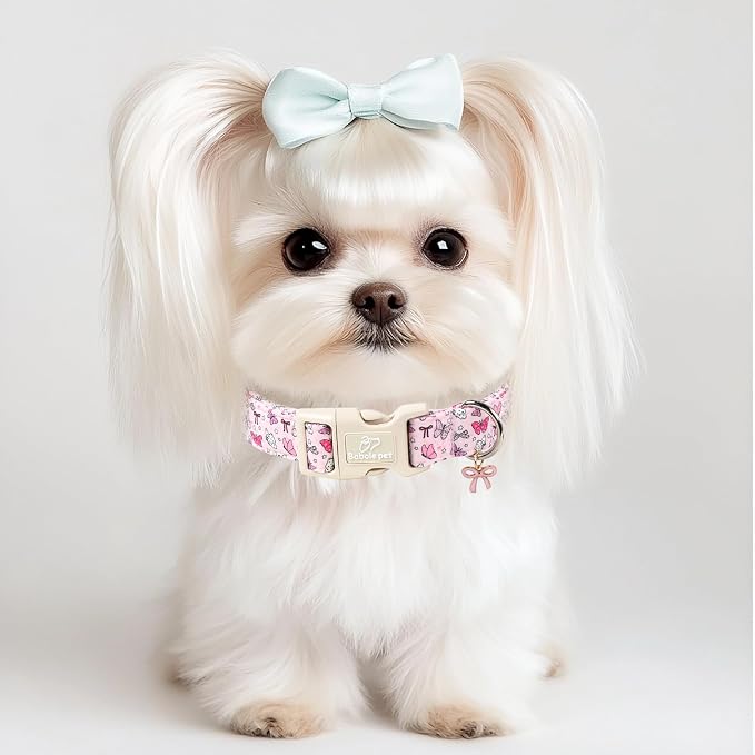 Pink Dog Collar Girl Dog Collars for Small Dogs - Lightweight Adjustable Spring Butterfly Female Dogs Everyday Collar with Quick Release Buckle S