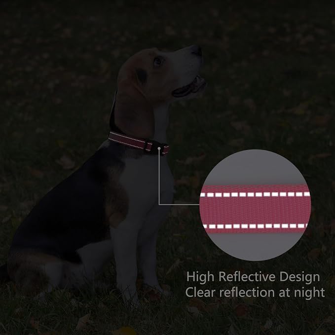 Reflective Dog Collar Padded with Soft Neoprene Breathable Quick Release Basic Dog Collars for Medium Dogs Hot Pink Girl