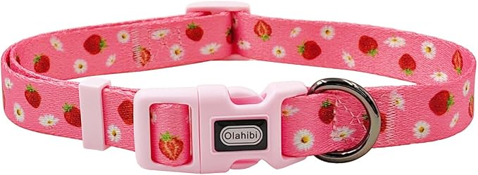Dog Collar Leash Set, Floral Pattern, Polyester Material, Adjustable Collar and 5ft Matchcing Leash, for Large Dogs.(L, Daisy and Strawberry)