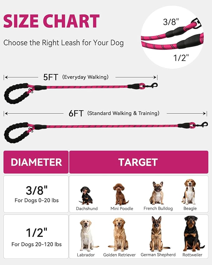 Joytale Dog Leash for Small Dogs, Heavy Duty Nylon Leashes with Comfortable Padded Handle and Highly Reflective Threads, Ideal for Walking and Training, Hotpink, 6'×3/8''