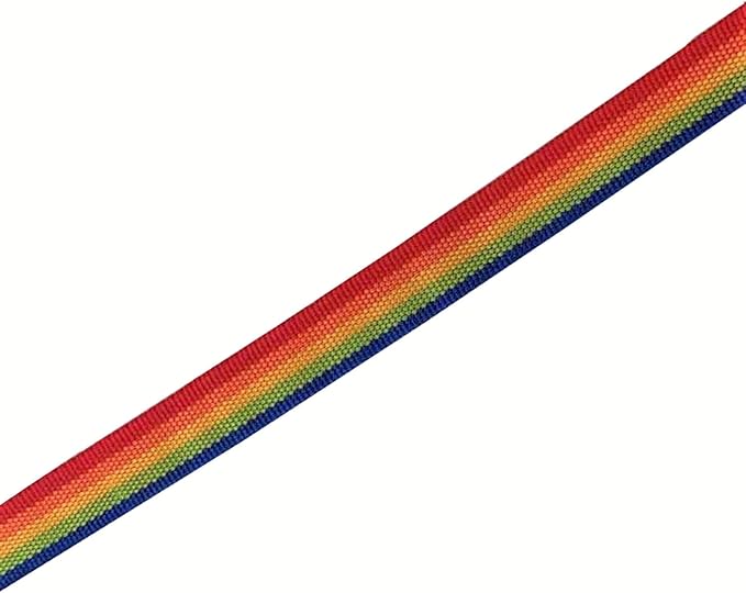 TAIAN 4FT/5FT/6FT Strong Dog Leash, Nylon Dog Leashes for Small Medium Large Dogs (1 in x 5 ft, Rainbow)