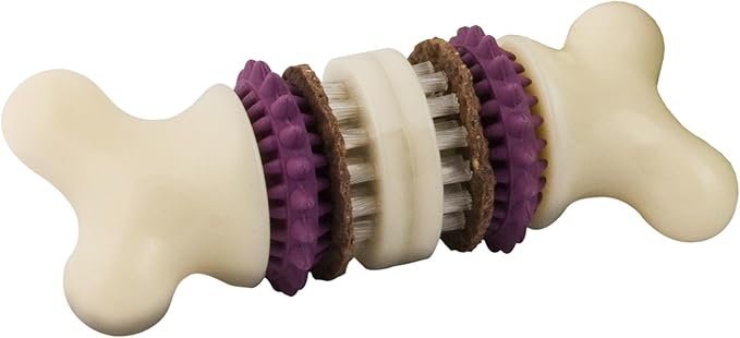 PetSafe Busy Buddy Bristle Bone Dog Chew Toy - Treat Holding Toothbrush Toy for Hard Chewers - Helps Keep Your Dog's Teeth Clean - Durable, Interactive - Purple, Medium