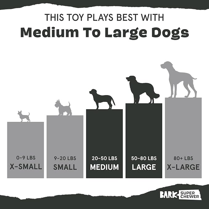 Barkbox Super Chewer Tough Dog Fetch Toy for Aggressive Chewers, Durable Rubber & Nylon for Small, Medium, & Large Dogs & Puppies, Throwbar